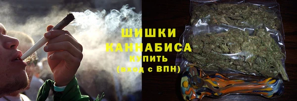 прущие грибы Армянск
