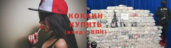 прущие грибы Армянск