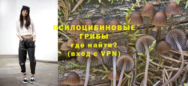 прущие грибы Армянск