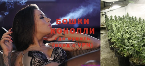 Альфа ПВП Аркадак