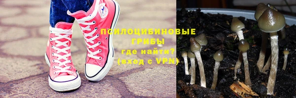 Альфа ПВП Аркадак
