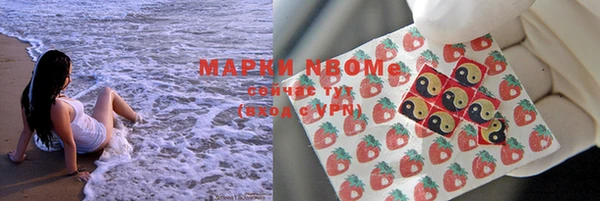 прущие грибы Армянск
